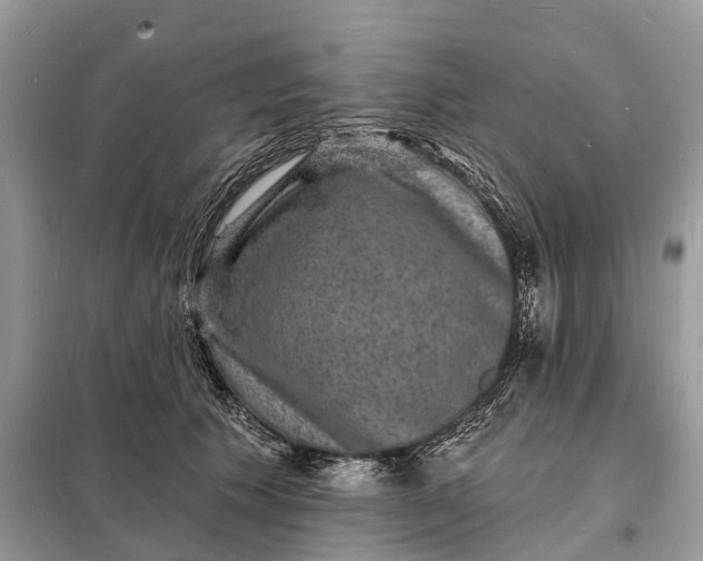 X0000098230609200805081224