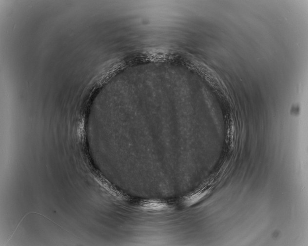 X0000098230610200805081224