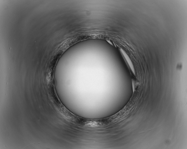 X0000098230611200805081223