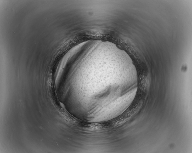 X0000098230612200805081223