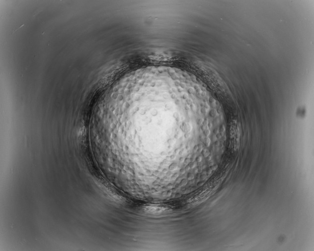 X0000098230614200805081223