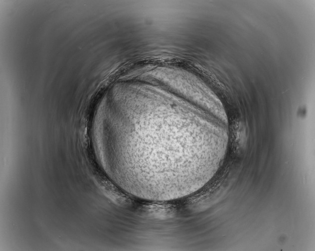 X0000098230615200805081223