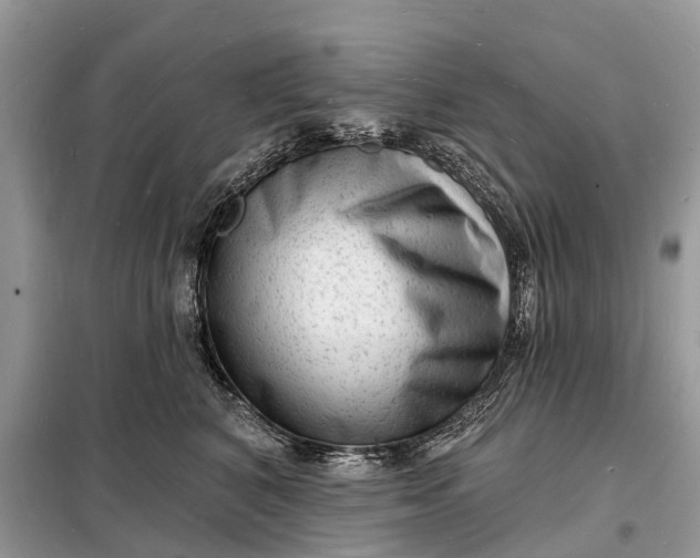 X0000098230616200805081223