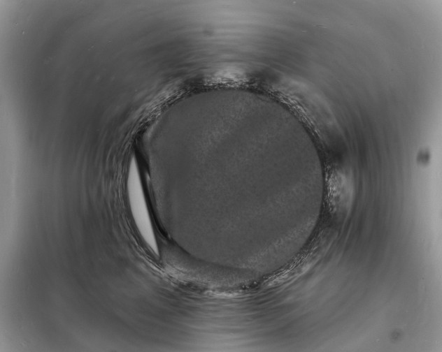 X0000098230617200805081223