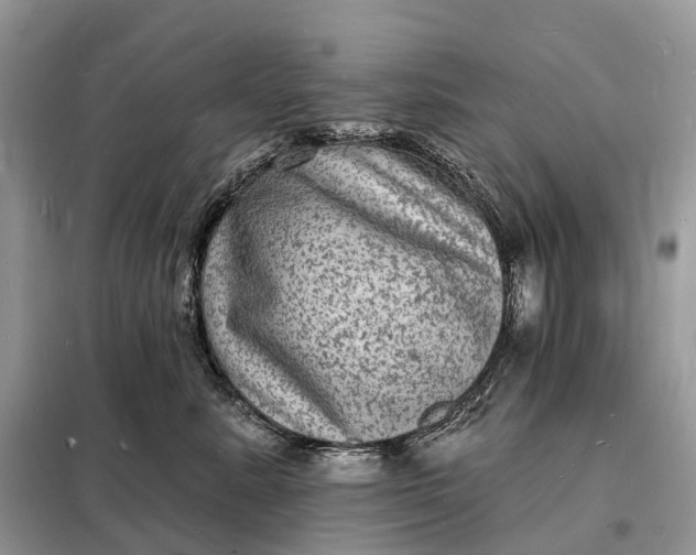 X0000098230619200805081223