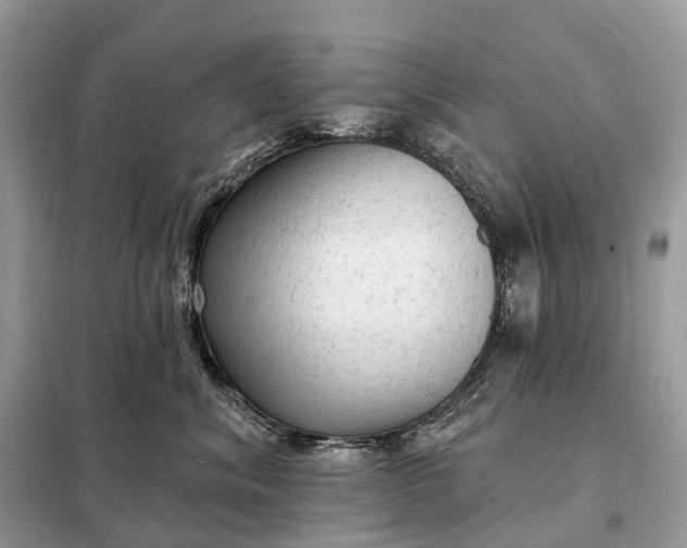 X0000098230620200805081223