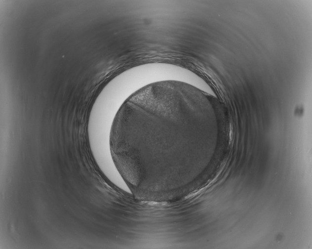 X0000098230621200805081223