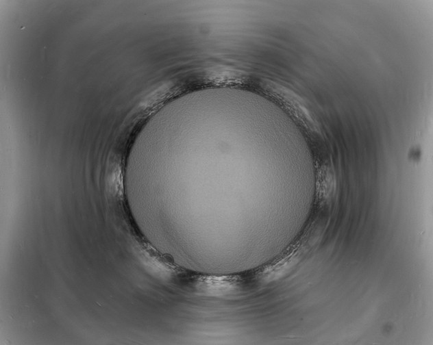 X0000098230622200805081223