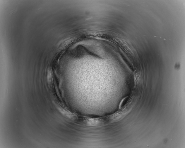 X0000098230623200805081223