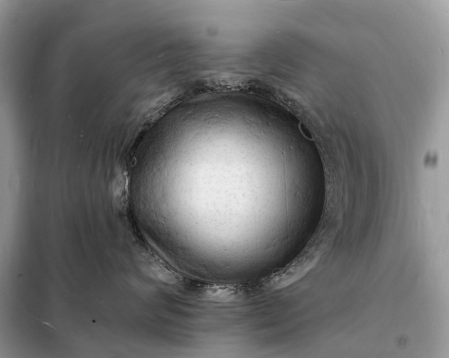 X0000098230624200805081223