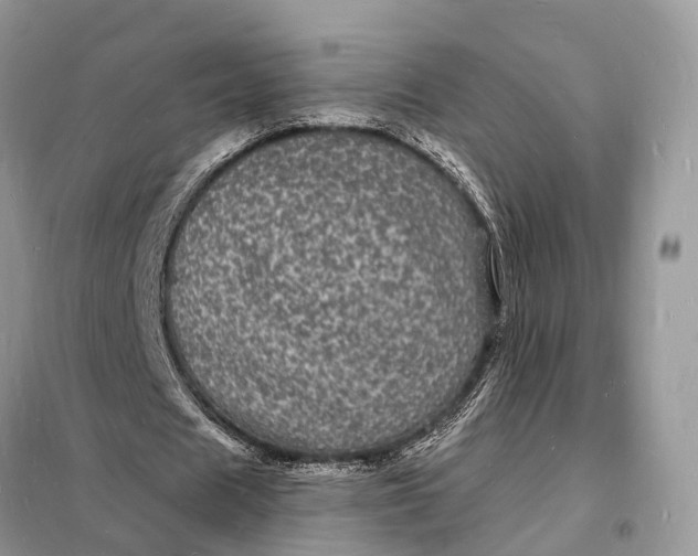 X0000098230625200805081223