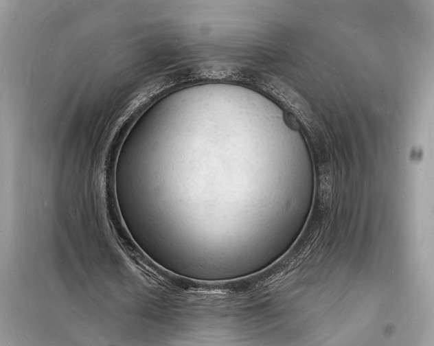 X0000098230626200805081223