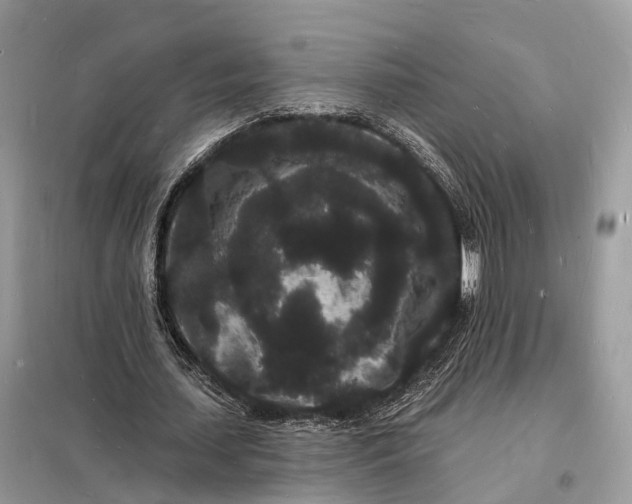 X0000098230627200805081223