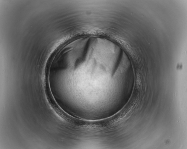 X0000098230630200805081223