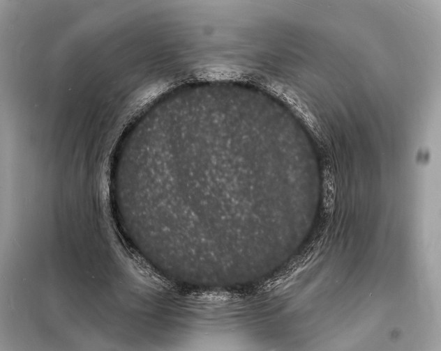 X0000098230631200805081223