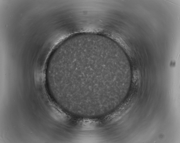 X0000098230632200805081223