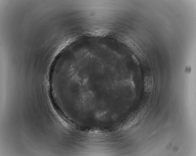 X0000098230634200805081223