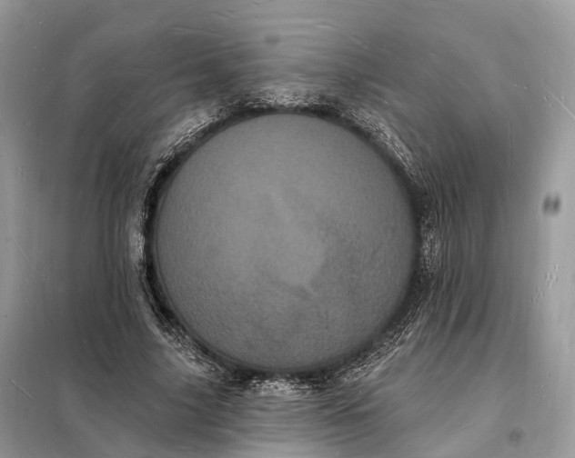 X0000098230635200805081223