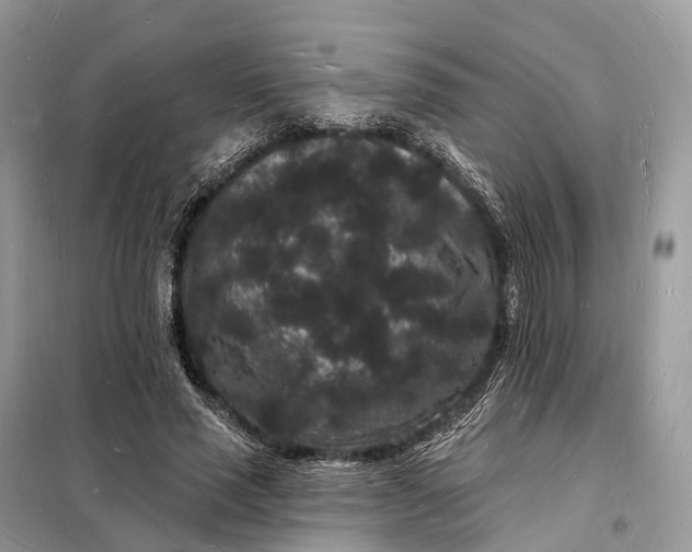 X0000098230637200805081223