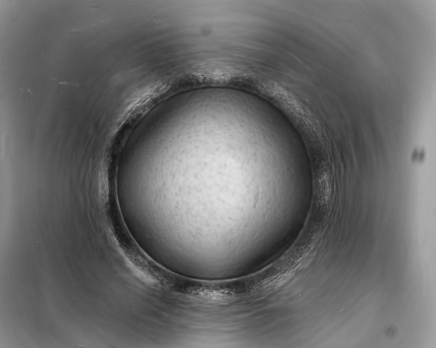 X0000098230638200805081223