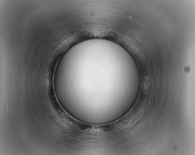 X0000098230639200805081223