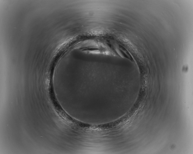 X0000098230640200805081223