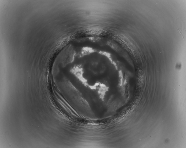 X0000098230641200805081223