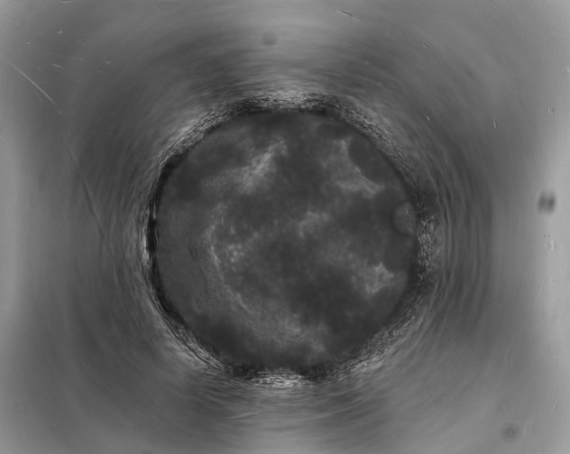 X0000098230642200805081223