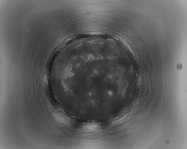 X0000098230643200805081223