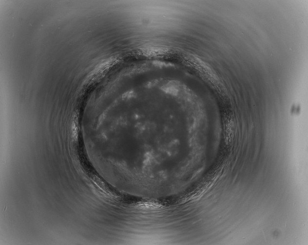 X0000098230644200805081223