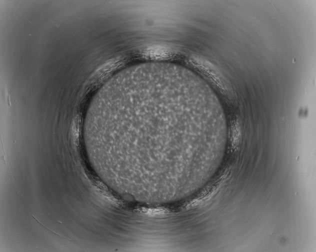 X0000098230645200805081223