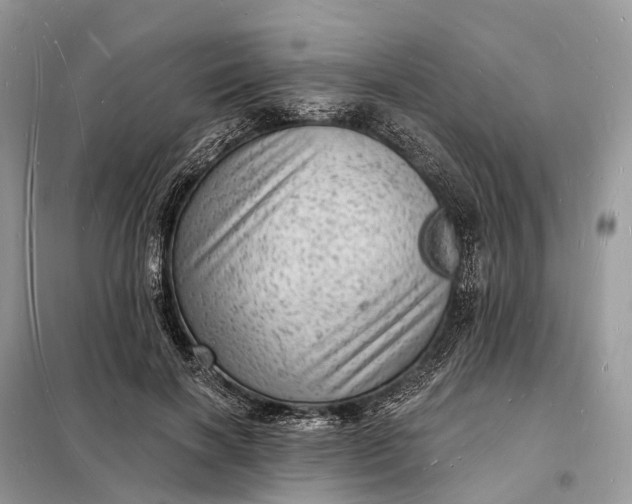 X0000098230646200805081223