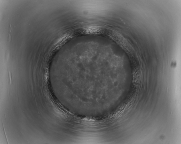 X0000098230648200805081223