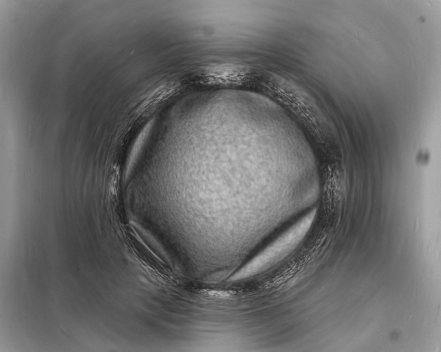 X0000098230649200805081223