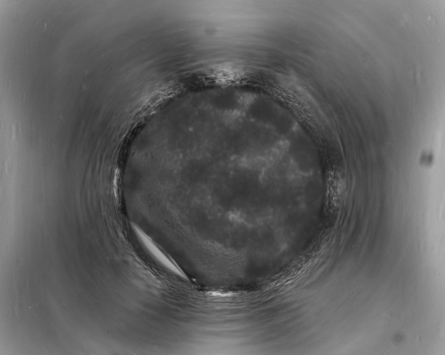 X0000098230650200805081223