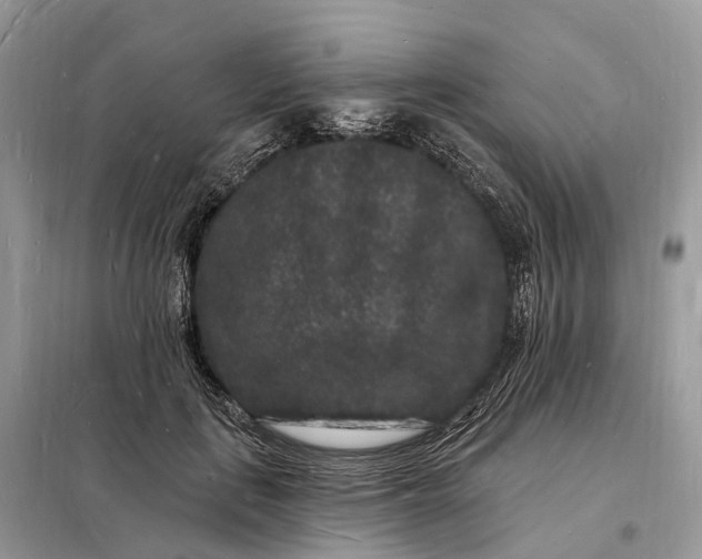 X0000098230651200805081223