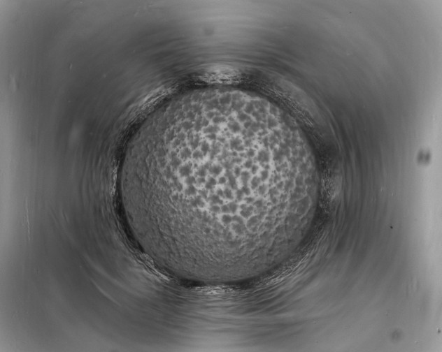 X0000098230652200805081223