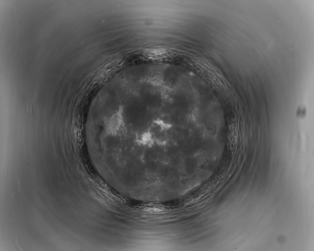 X0000098230653200805081223