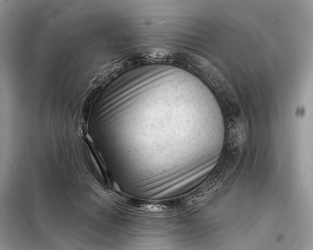 X0000098230654200805081223