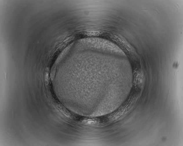 X0000098230655200805081223