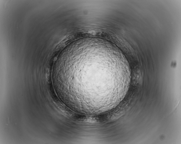 X0000098230656200805081223