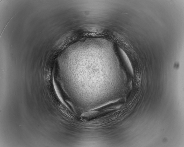 X0000098230657200805081223