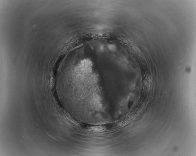 X0000098230659200805081223