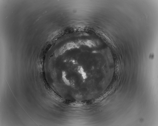 X0000098230661200805081223