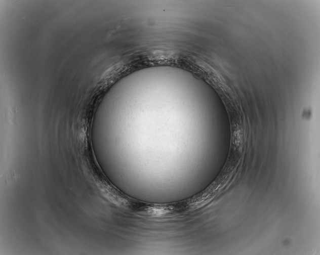 X0000098230662200805081223