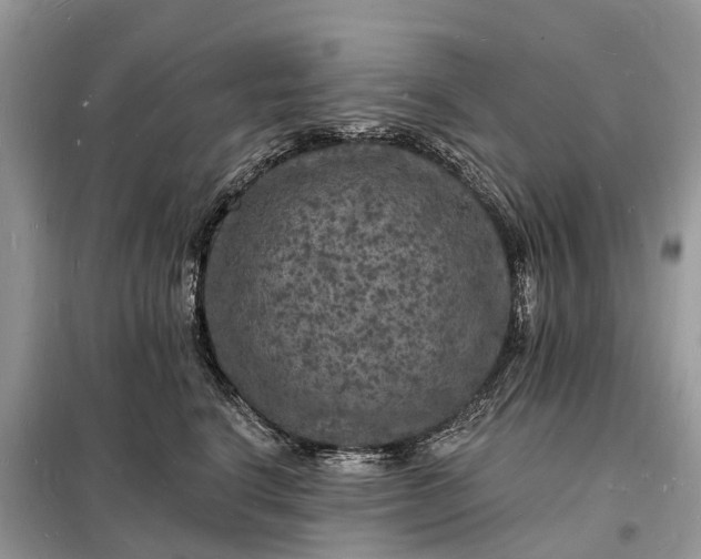 X0000098230664200805081223