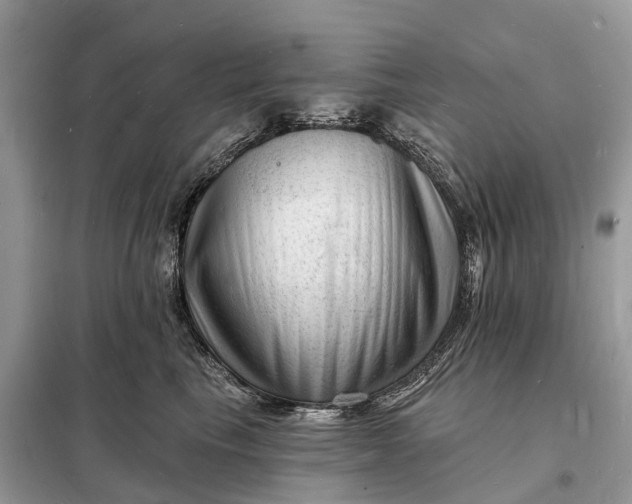 X0000098230665200805081223