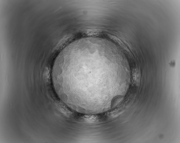 X0000098230667200805081223