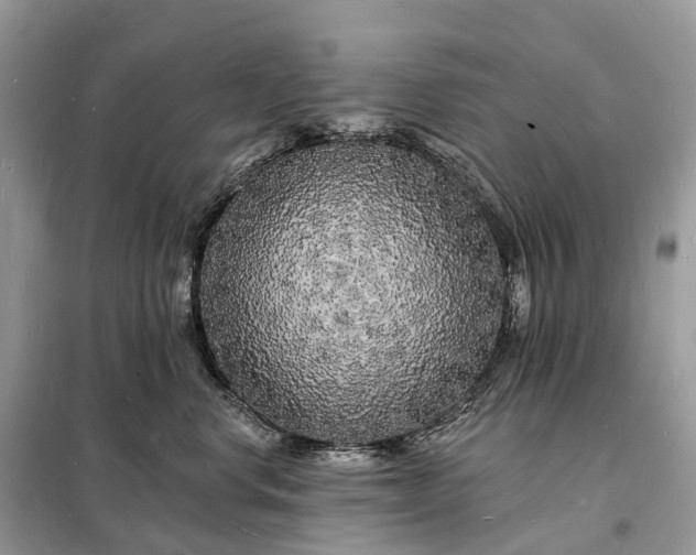 X0000098230668200805081223