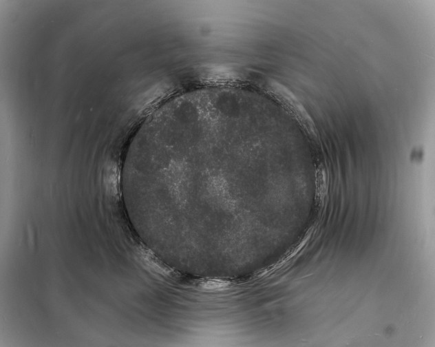 X0000098230669200805081223